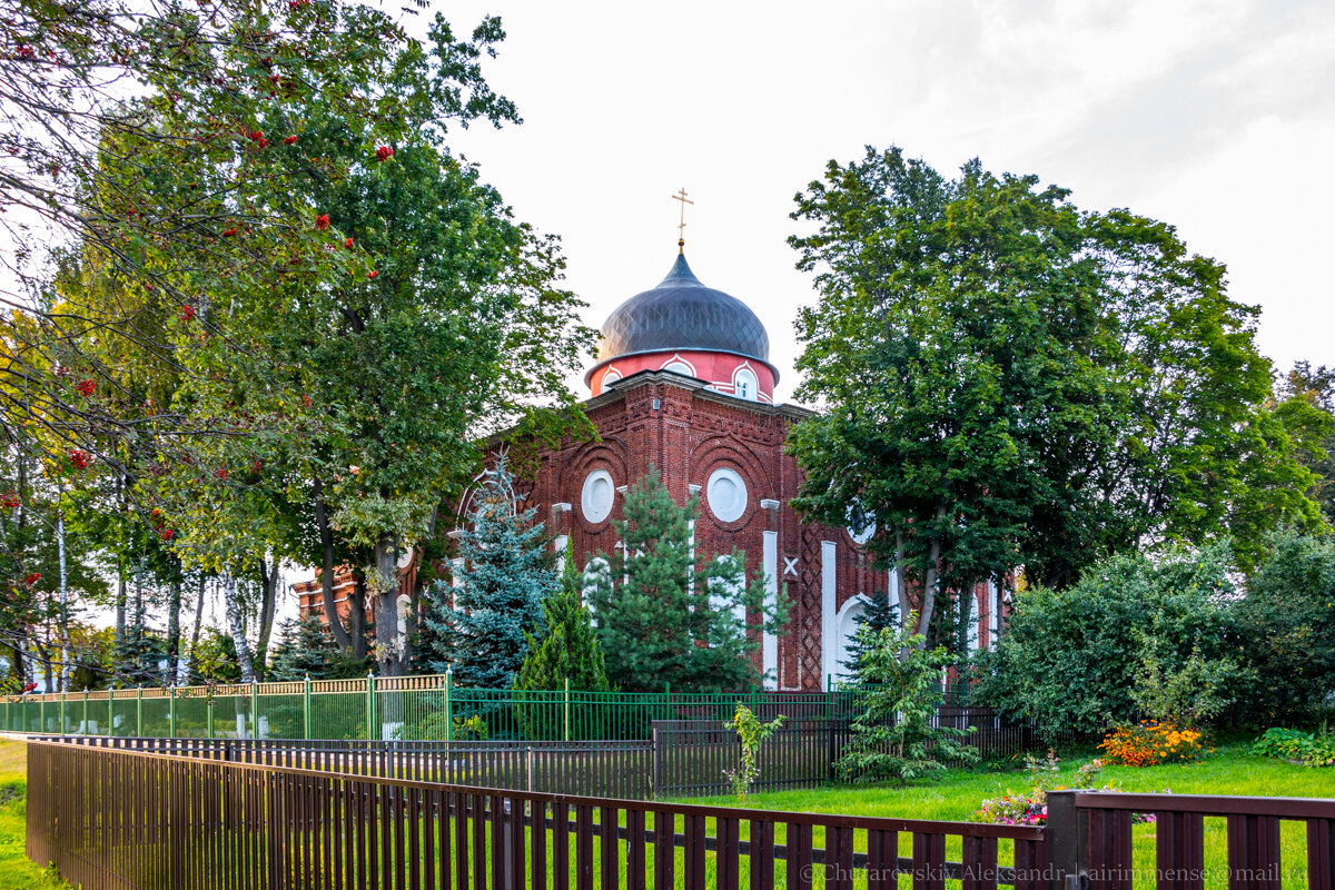 Растения раменского района московской области. Парк в Гжели Раменский район.