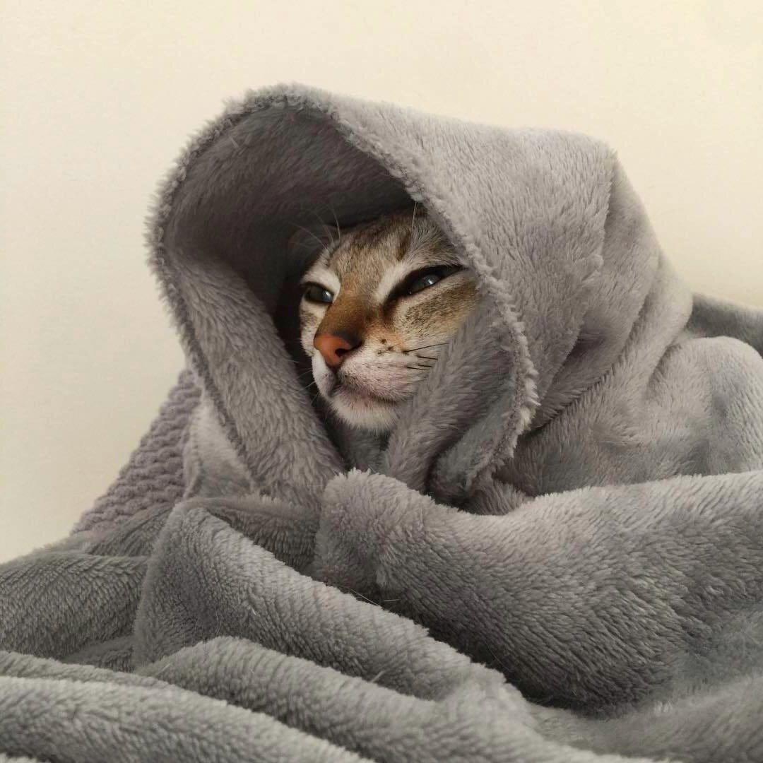 мотивация, утро, саморазвитие, спорт, полезные советы, любовь к себе