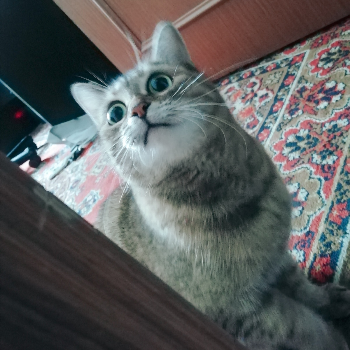 Так потребитель должен смотреть на ваш бренд.