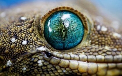 Фото взято из открытого источника