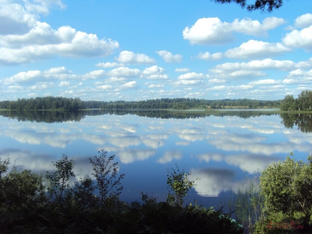 Источник фото: Яндекс картинки