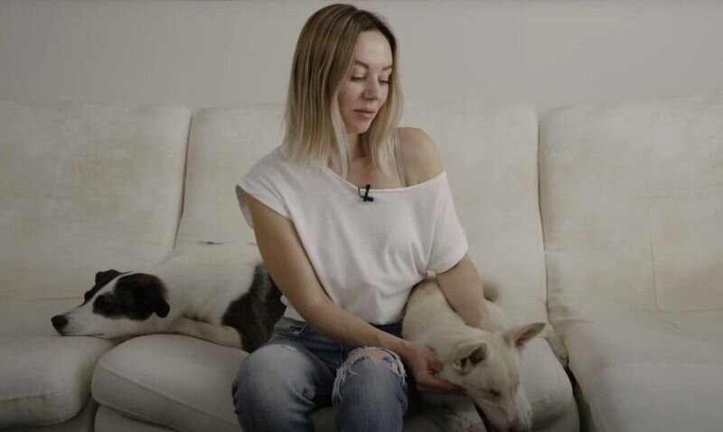 Кадр из фильма «Собачье счастье»