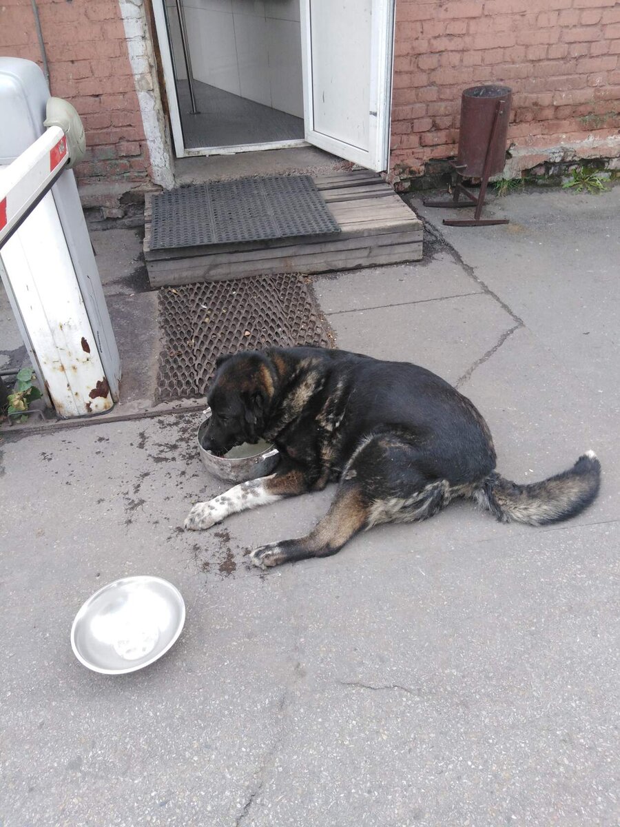 Что то с ногой,нужен ренген