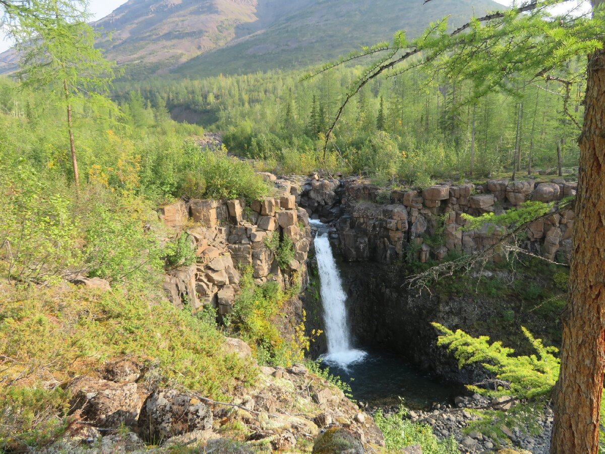 Плато Путорана курумник