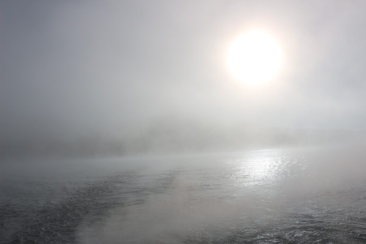 Фото автора (с).