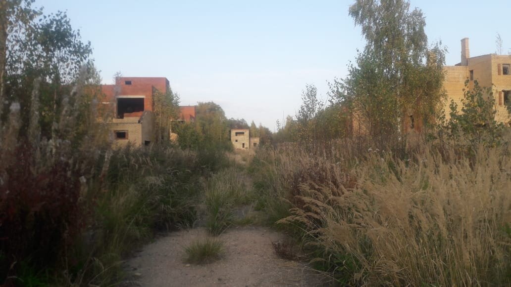 Главная (и единственная) дорога поселка.