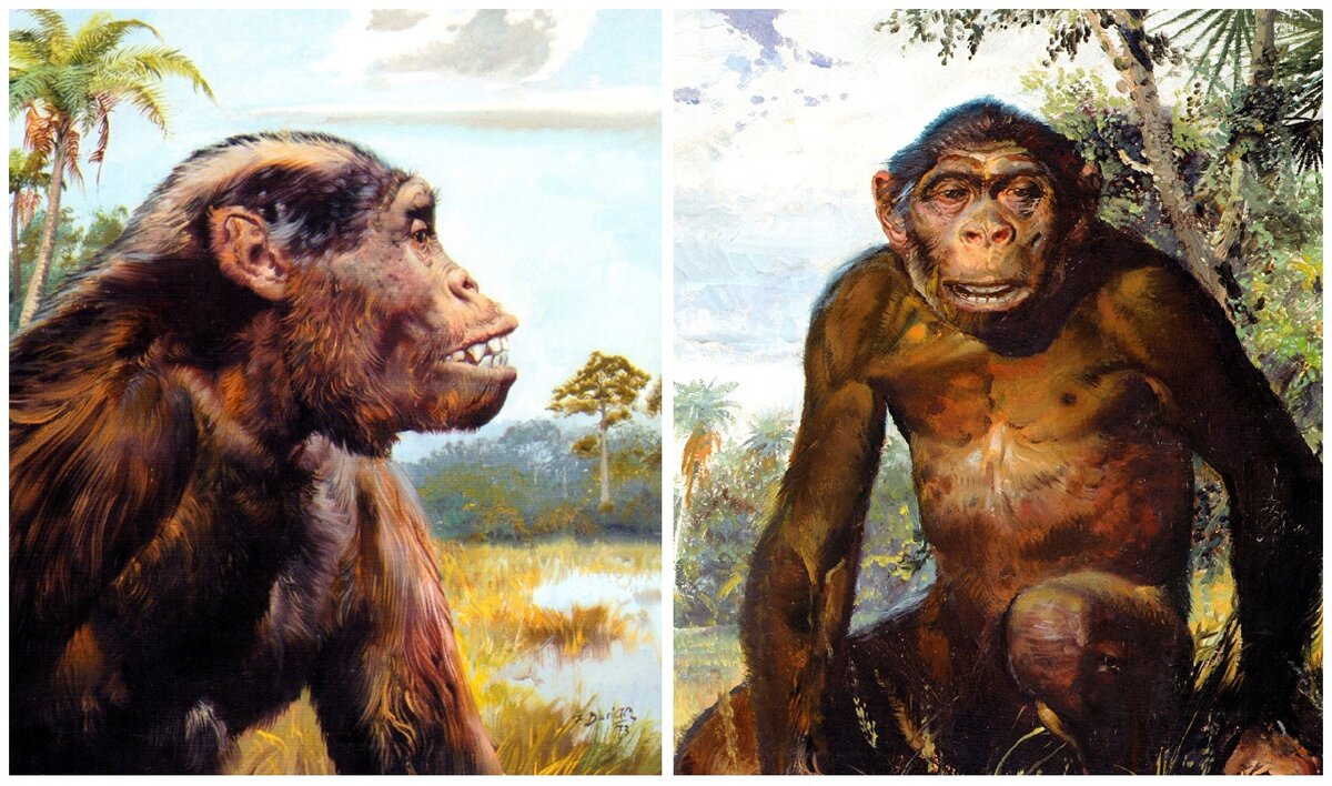  Редактировал самостоятельно. 