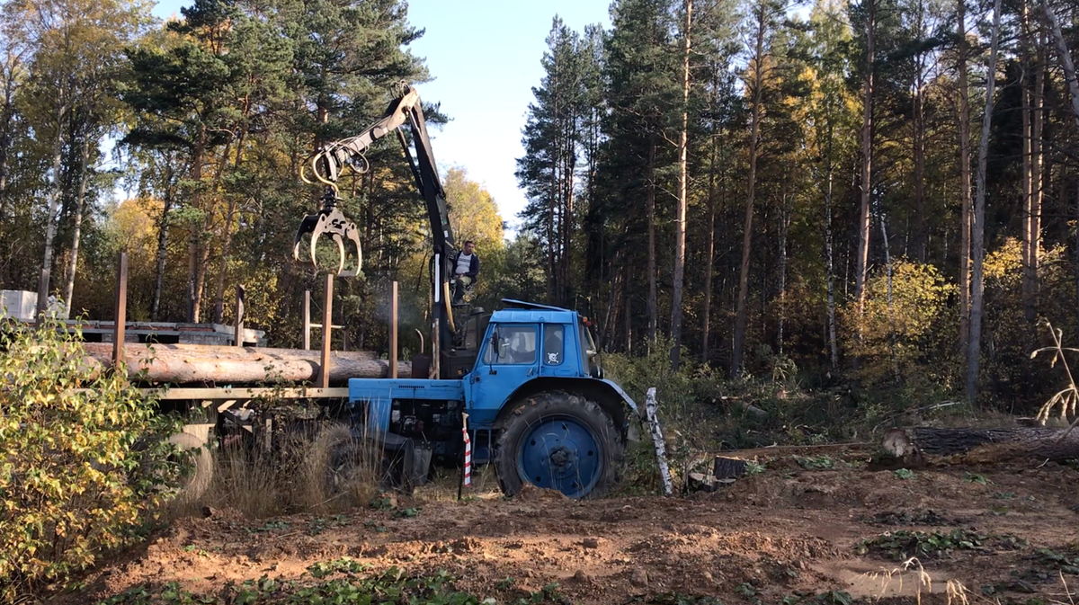 Расчистка участка