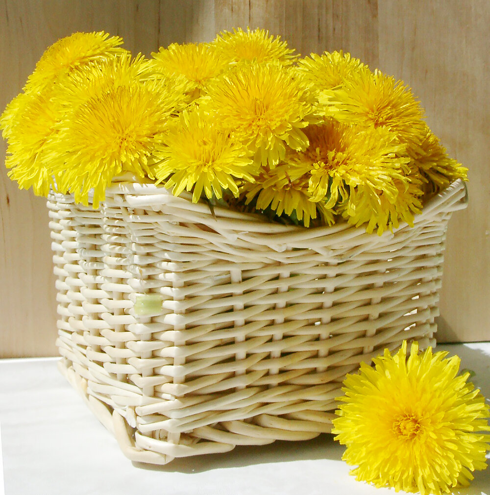 Желтые цветы нередко являются признаком того, что растение можно использовать для лечения печени