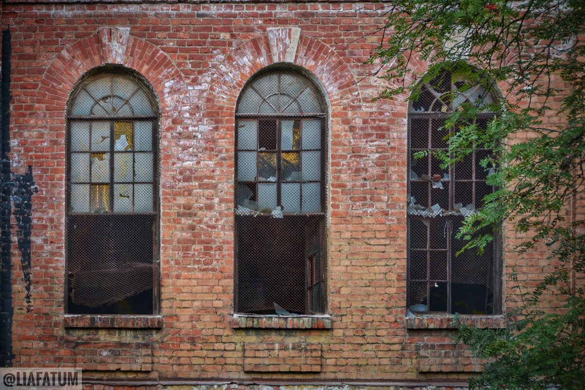 Окна - глаза дома.