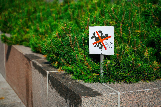 Никакие таблички не помогут - проверено. Фото: Яндекс.Картинки