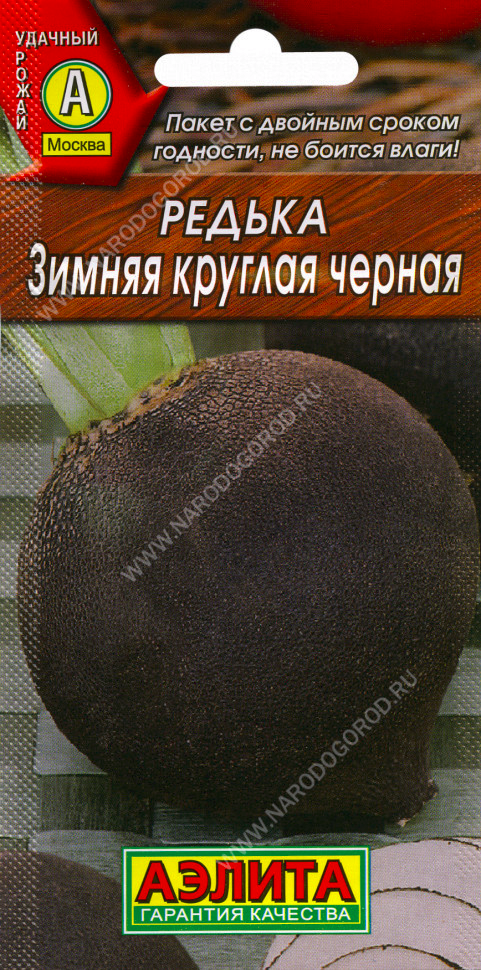 Редька Зимняя круглая черная, Аэлита