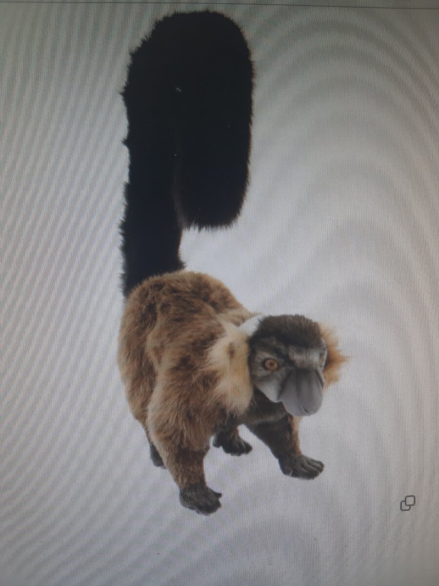 Это Красный Лемур (p.s. так утверждают производители)