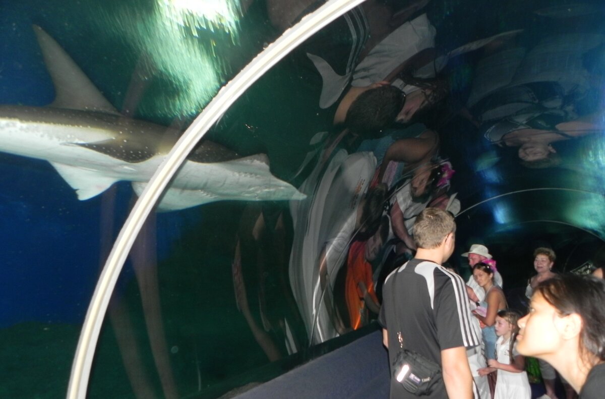 океанариум Underwater World Pattaya