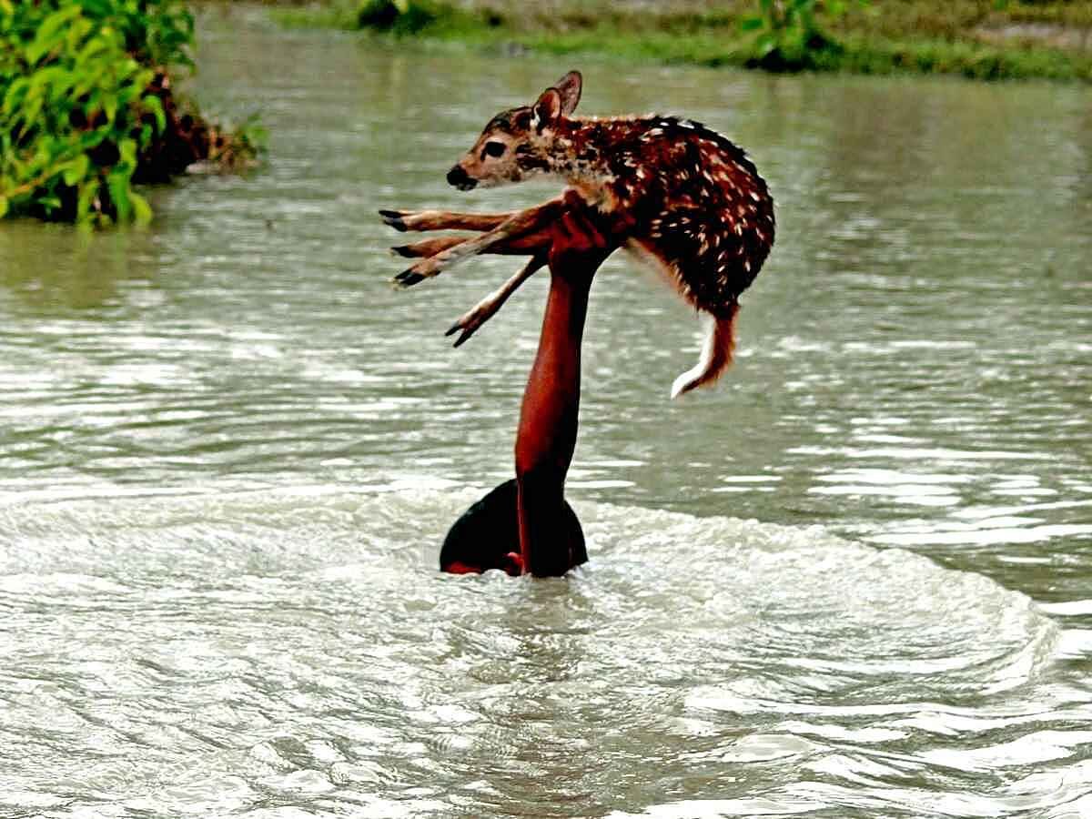 фото из открытых Источников.