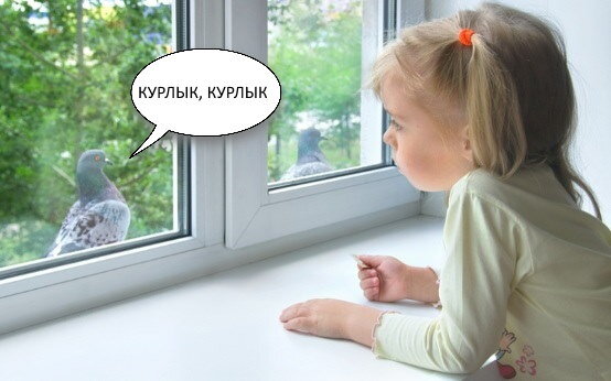 Даже ребёнок теперь разберется в выборе окон ПВХ!