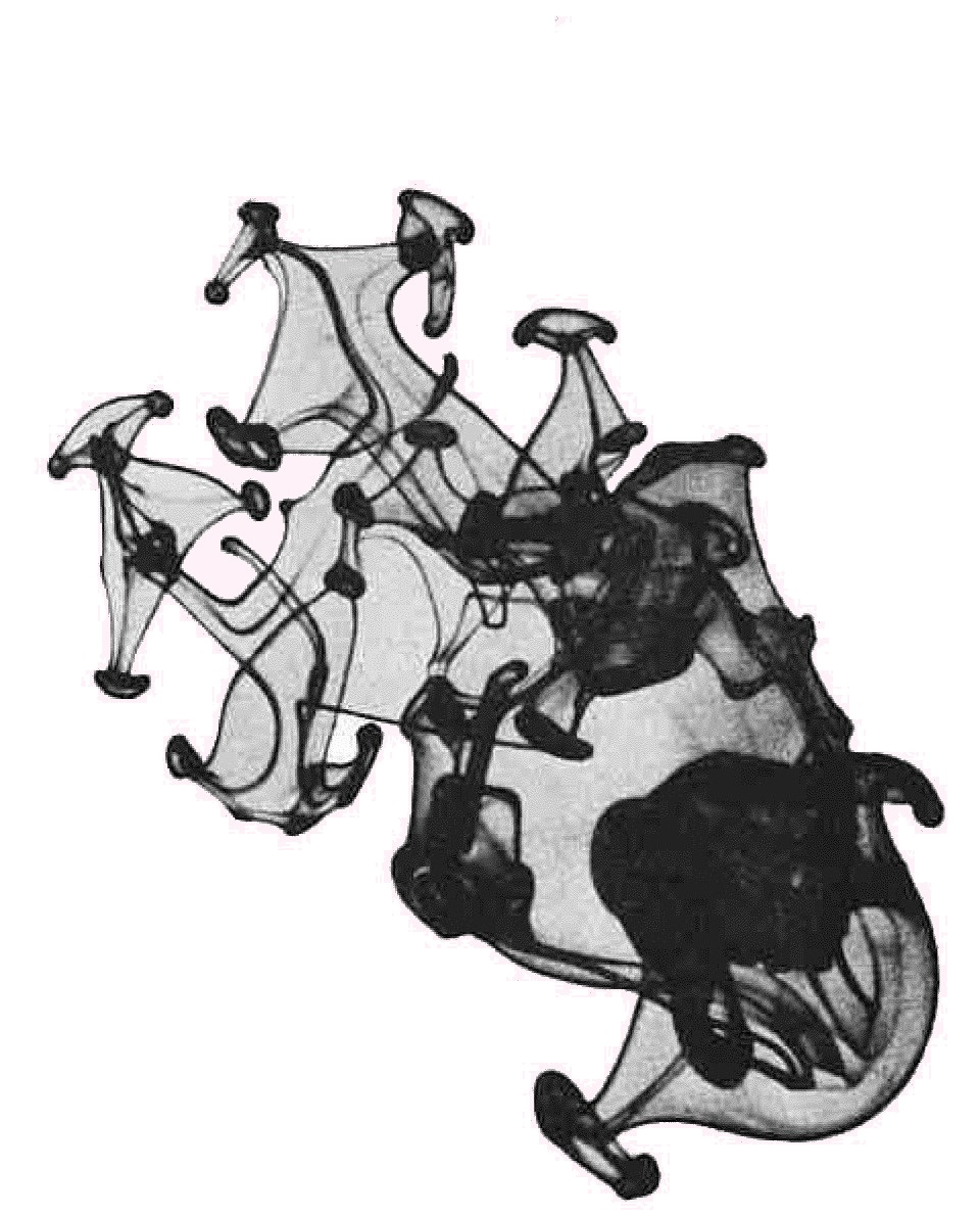 Расплываясь в воде, капли чернил образуют причудливые узоры.