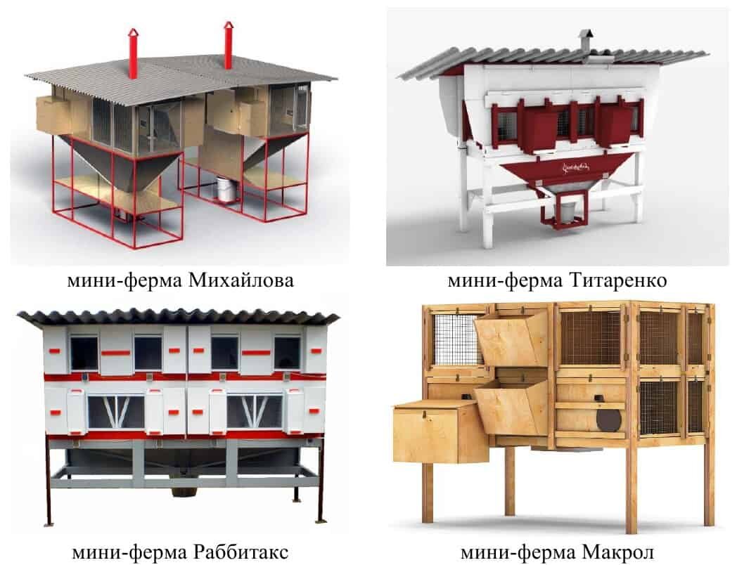 В Ивановской области открылась первая механизированная кроличья ферма