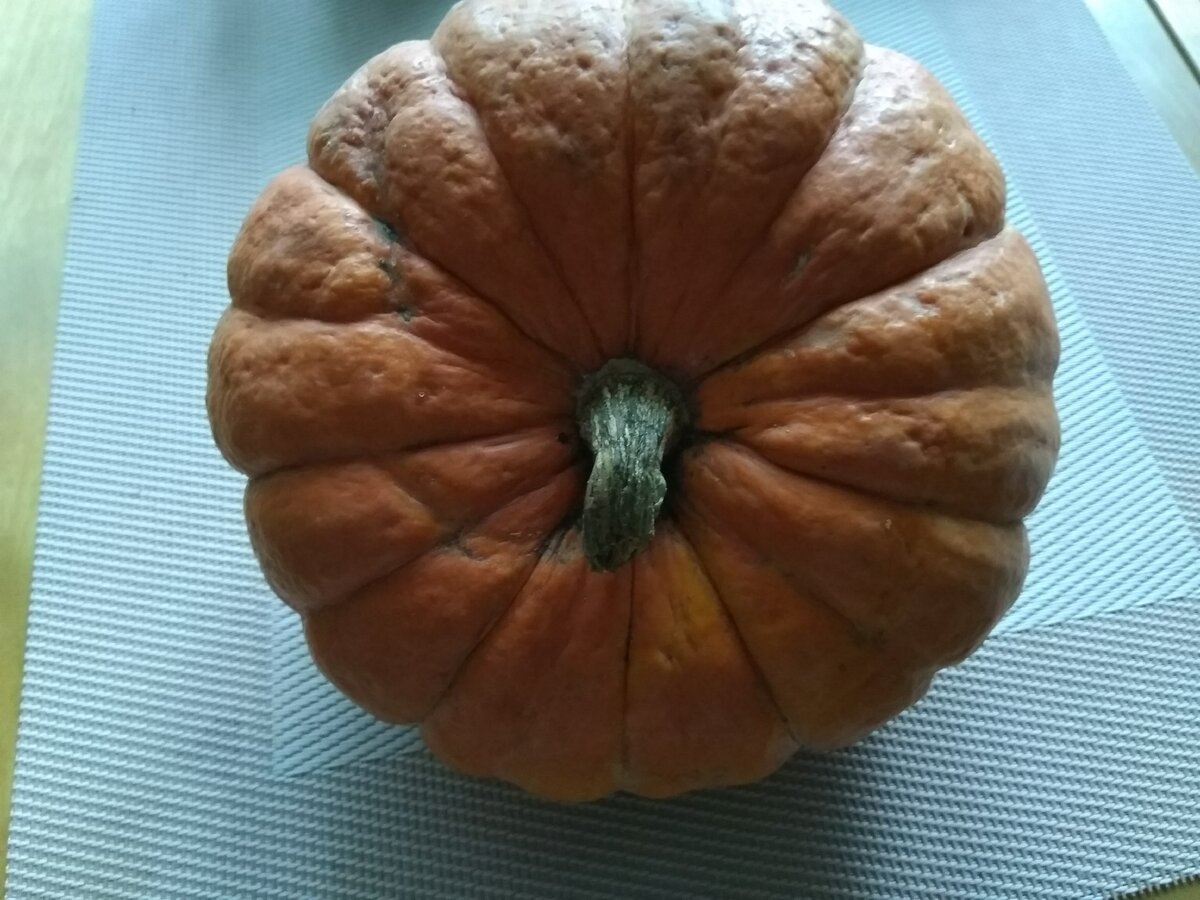 Фото автора. Люблю порционные тыквы!