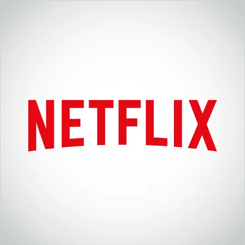 Логотип компании Netflix. Источник: www.netflix.com 