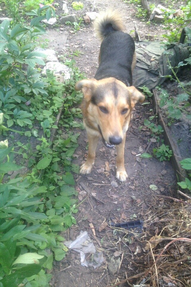 Наш Сеня подрос и уже не напоминает червяка, каким он был в первую зиму.