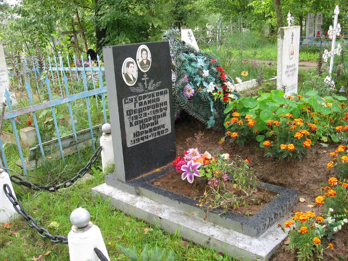 Я вернулась к могиле позже, чтобы положить на неё скромный букетик, купленный у старушки рядом с кладбищенскими воротами. 