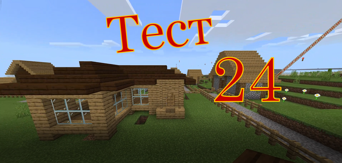 тест № 24
