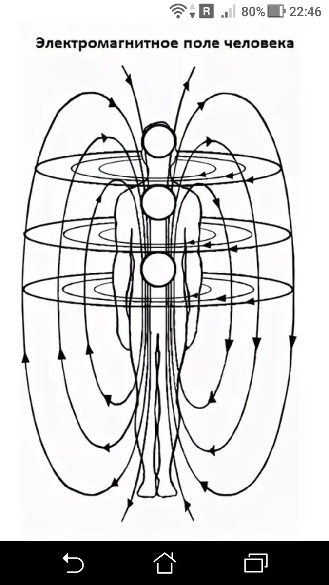 Схема поля человека. Энергетические потоки в теле схема. Схема торсионного поля земли. Электромагнитное поле человека. Электромагнитное полу человека.