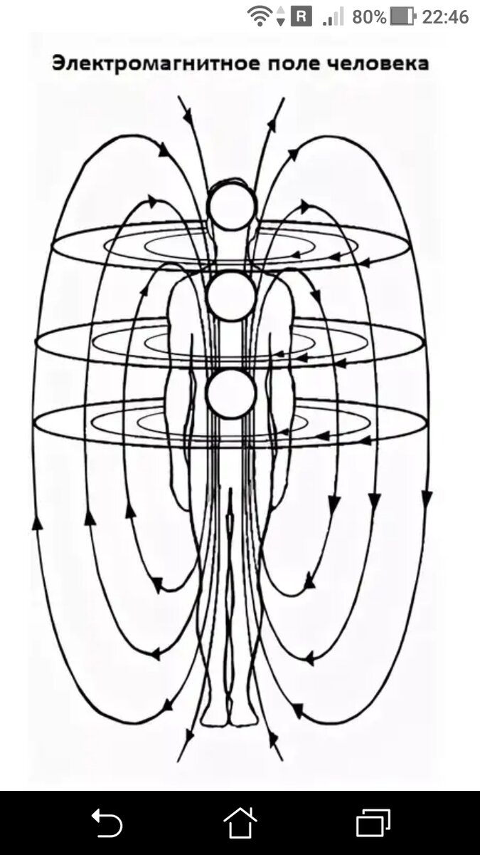 Электромагнитная энергия человека. Энергетические потоки в теле схема. Схема торсионного поля земли. Электромагнитное поле человека. Электромагнитное полу человека.