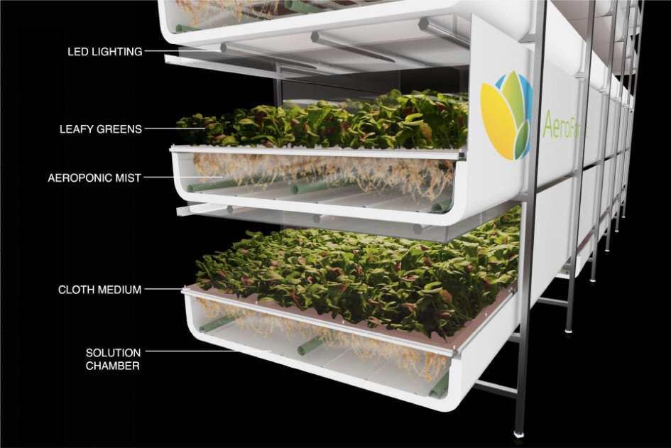 Фото: AeroFarms 

