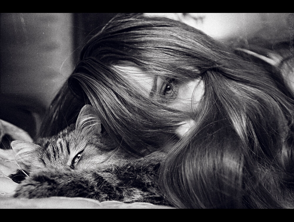 Котейка сваха