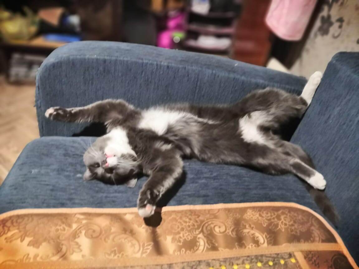 Тимошка кайфует..