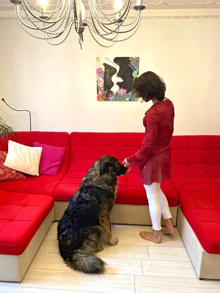 Вот это диван! Мой размерчик — думает Таху