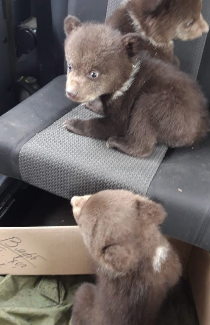 фото: https://vk.com/