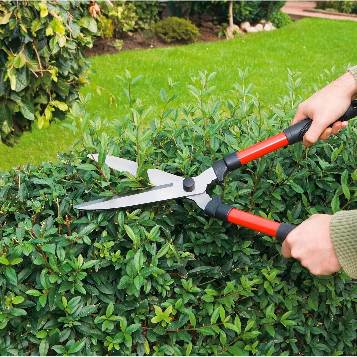 Обрезка растений в саду