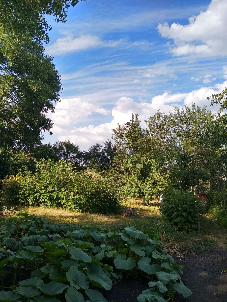 Природа спасет удаленщиков.