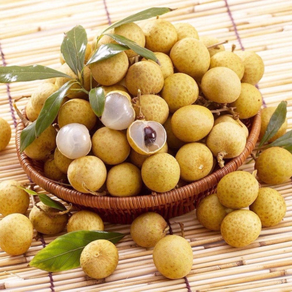 Dimocarpus longan. Лонган. Глаз дракона