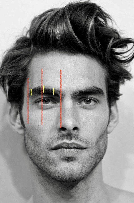 оранжевые линии делят бровь на нужные отрезки, желтые - показывают каким образом измеряем ширину бровей