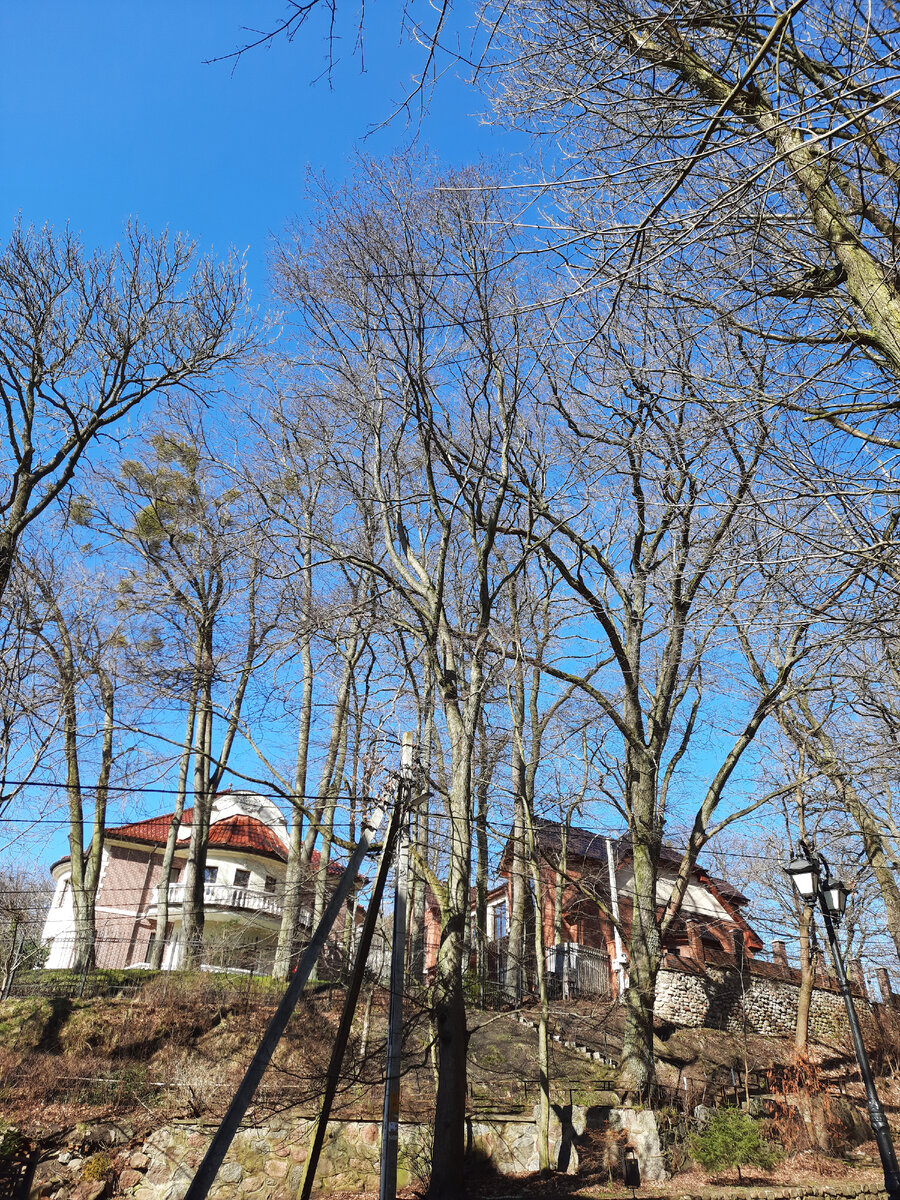 Фото автора Светлогорск. Он и правда светлый!