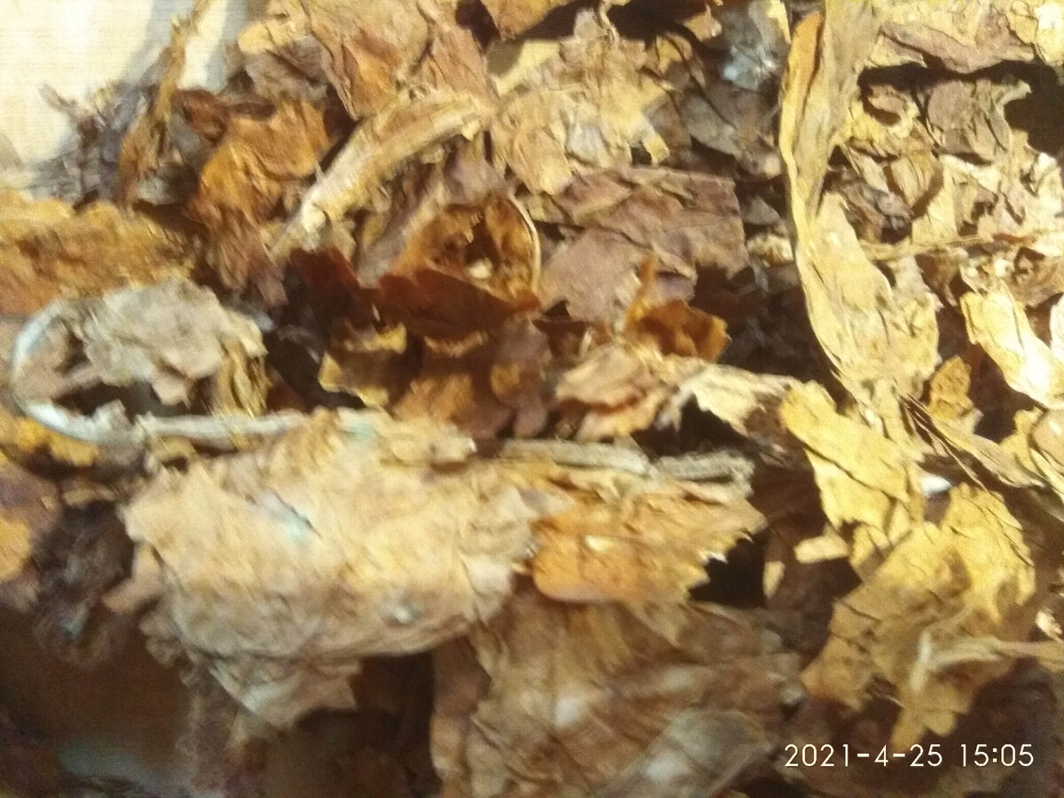 Вот так выглядит Берли-стрипсы при вытаскивании его из целлофановой тары