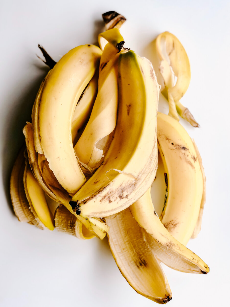 Photo by Julia Kuzenkov on Unsplash