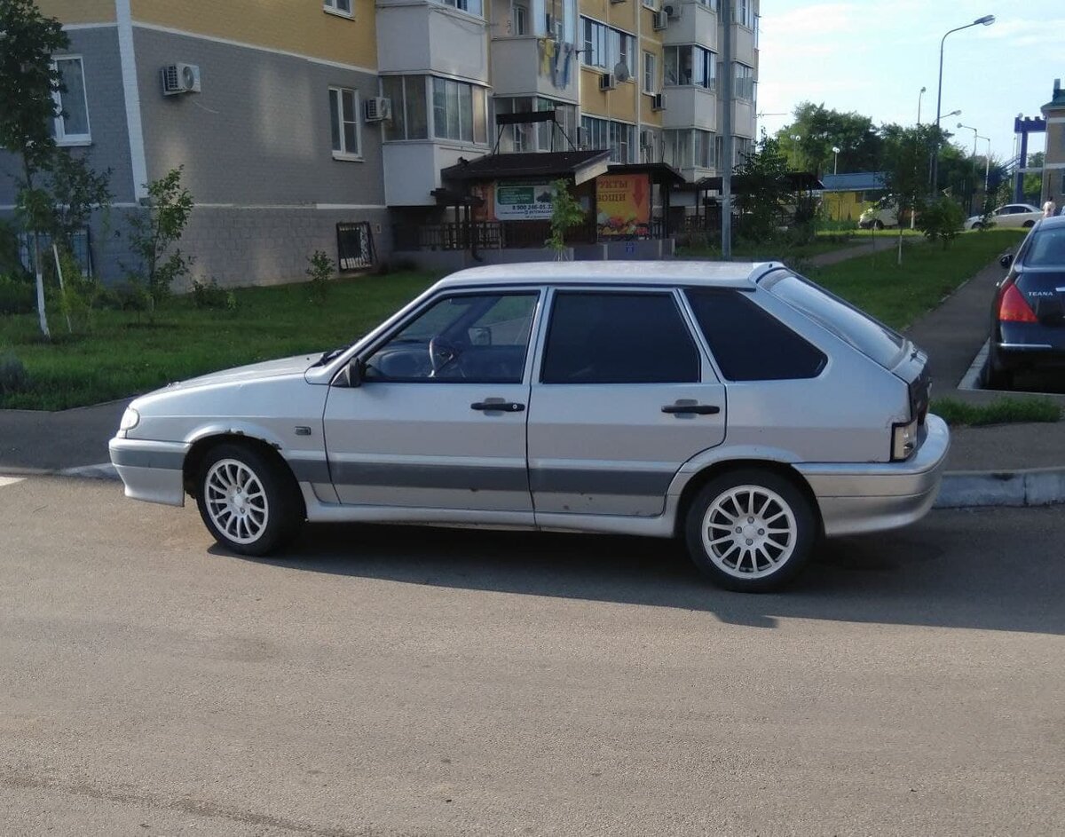 вся в рыжиках