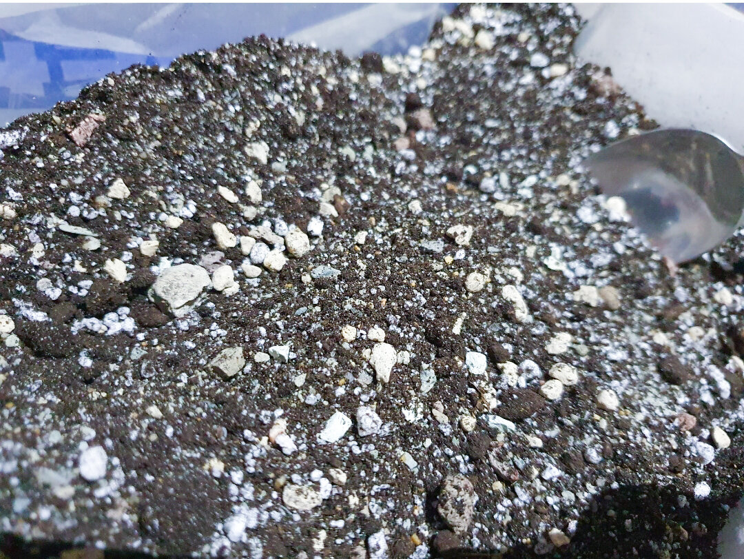 Главное: грунт должен быть рыхлым