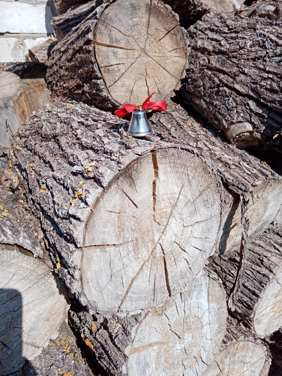  Личное фото для рассказа Последний урок Риммы Федоровны... Копирование запрещено