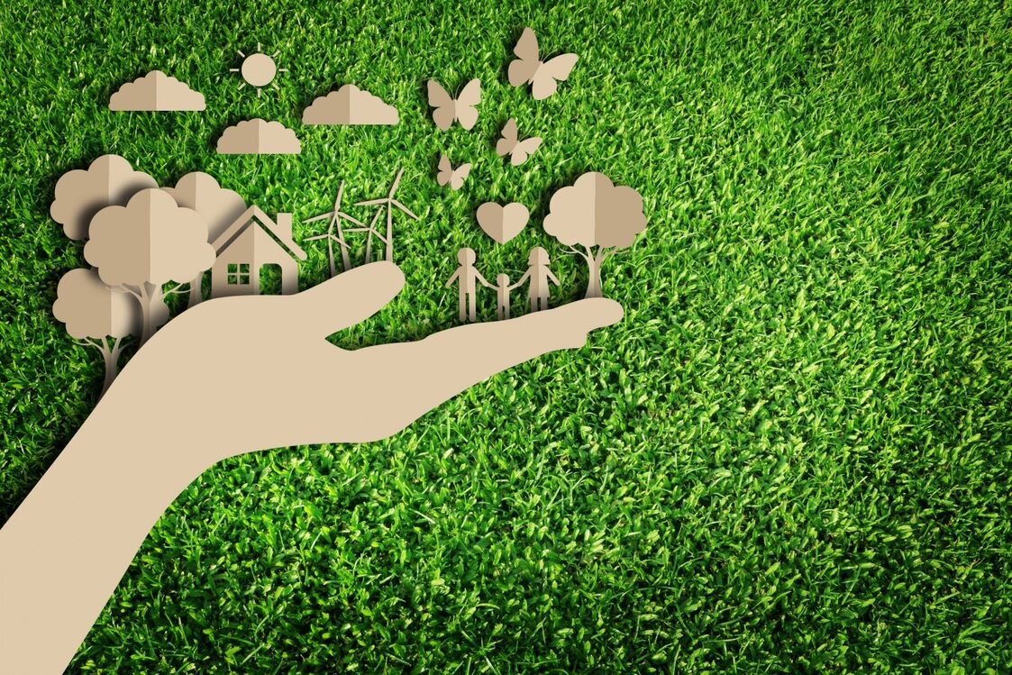 Фото: Эко пространства; МГПУ