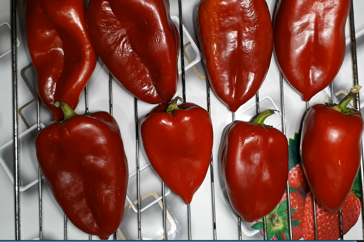 Перцы кладем на решетку и ставим в духовку.