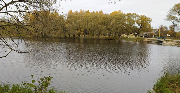 Парк вон там, на той стороне, за ивами. Фото автора