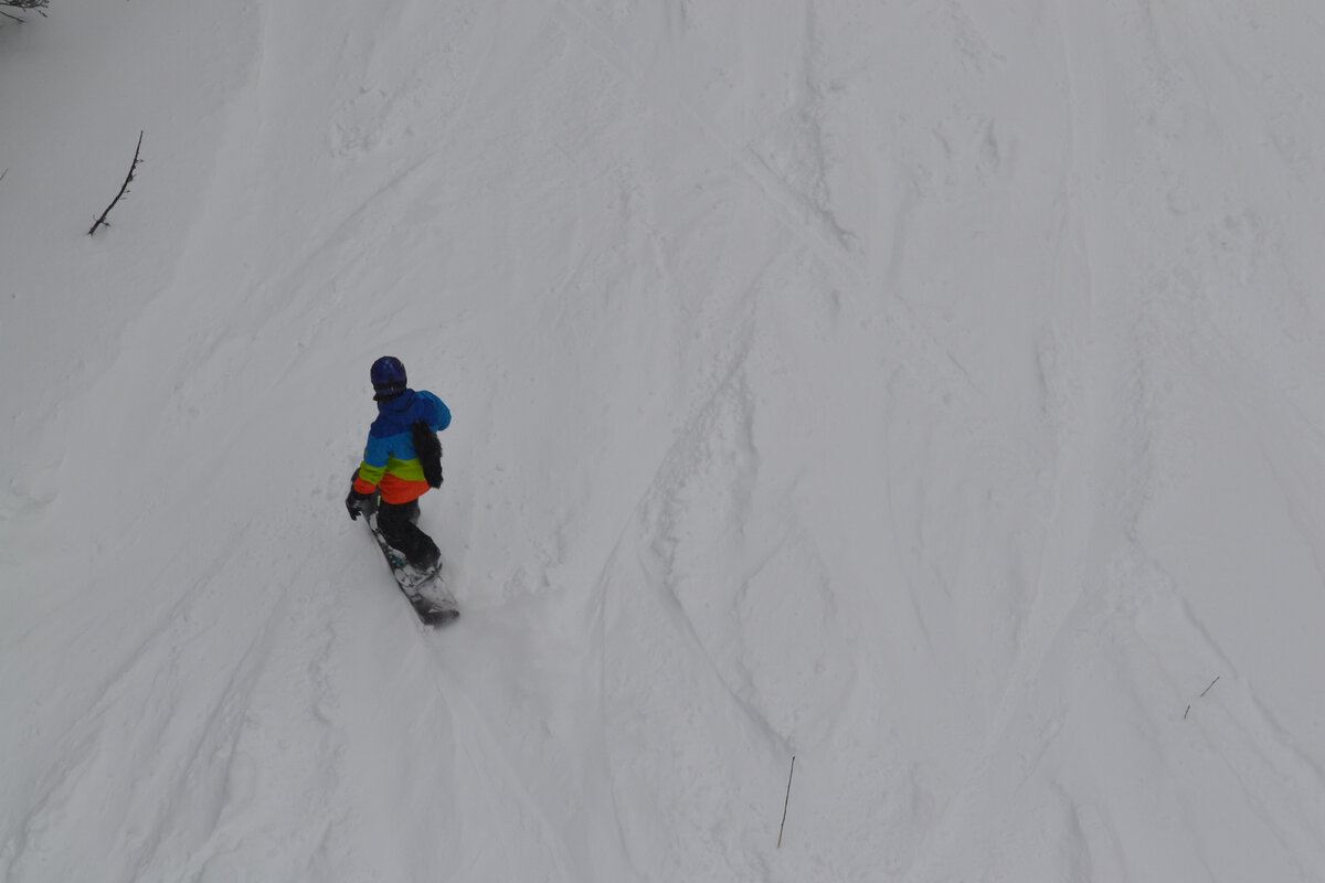 Обложка статьи.