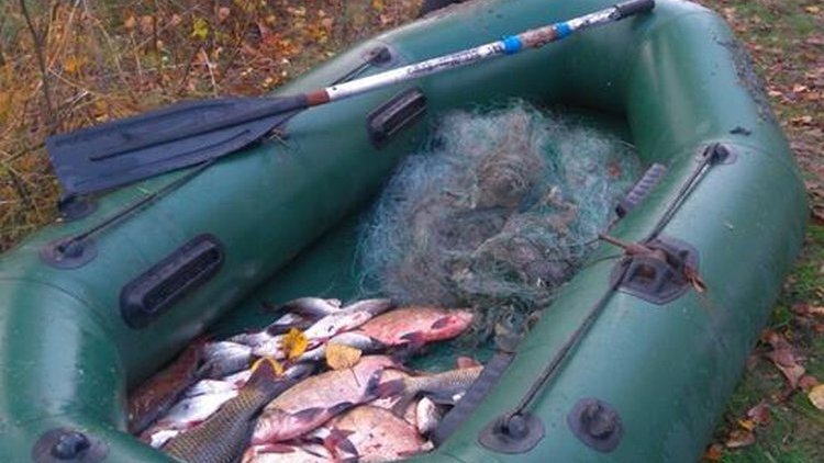 Фото из открытых источников "Яндекс картинки"