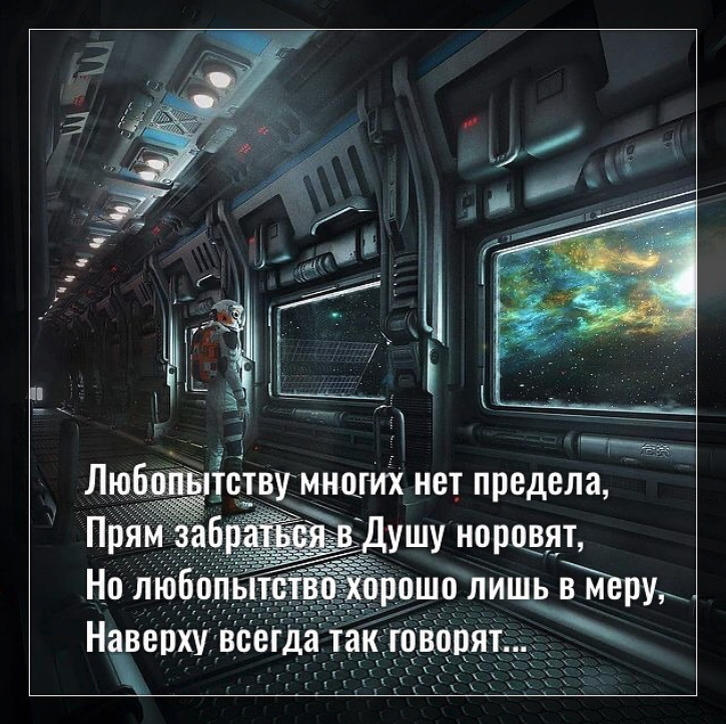 Фото с просторов интернета